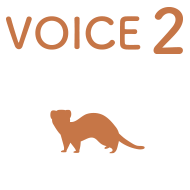 voice2