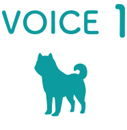 voice1