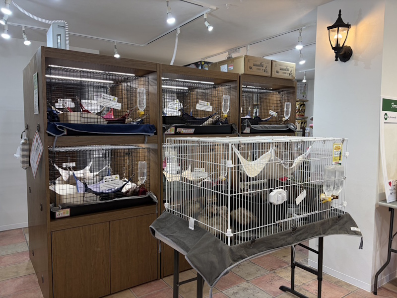 フェレットワールド 幕張店