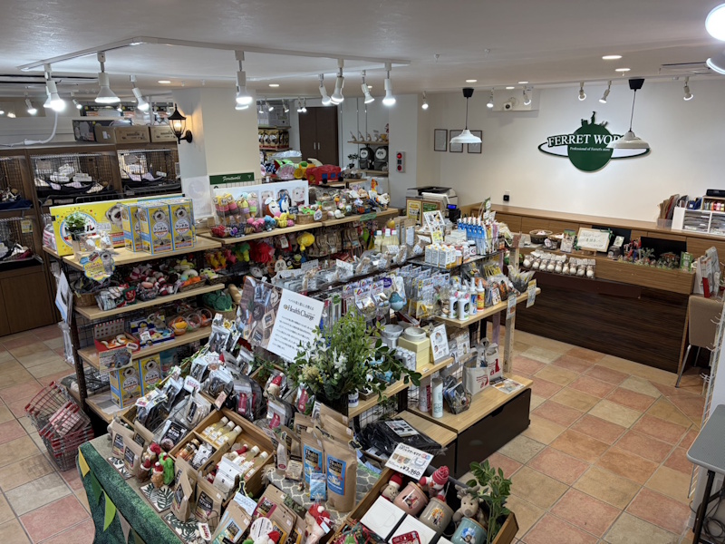 フェレットワールド 幕張店