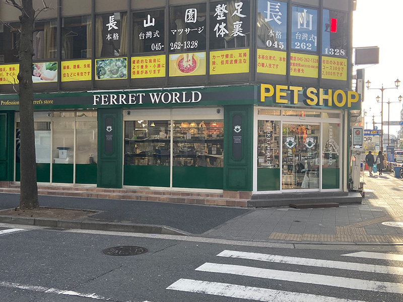 フェレットワールド みなとみらい店